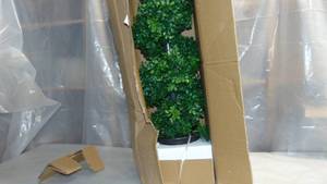 lot 96 image: Nearly Natural Indoor and Outdoor 48 in. Boxwood Spiral Topiary with Planter NEW