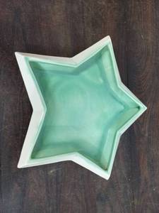 Red-Wing Star Planter