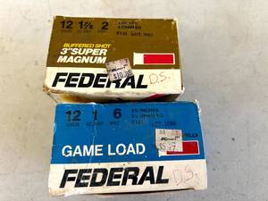 lot 97 image: 12 Gauge Shells
