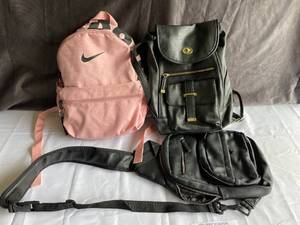 lot 46 image: Lot of 3 Womens Backpacks