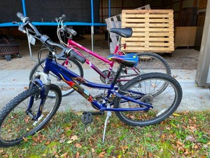 lot 166 image: Lot of 2 Adult Mountain Bikes
