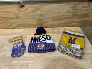 lot 36 image: Minnesota Winter Gear (Vikings Colors)