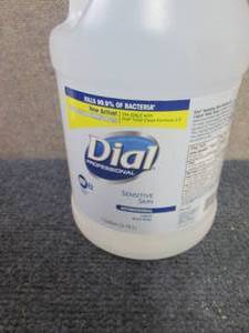 lot 138 image: 3 Gallons Dial Sensitive Skin Hand ...