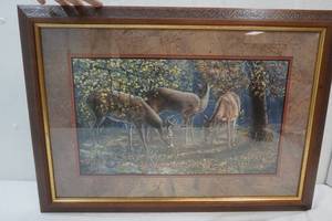 Picture of Deer Eating