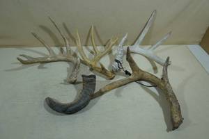Assorted Sheds