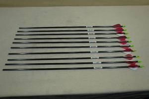 10 Beman Carbon Arrows