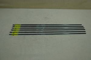 6 Carbon Express CX200 Arrows