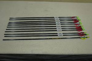11 Carbon Arrows -10 Beman & 1 Stalker Express