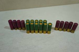 20 Loose 12 Gauge Shotshells