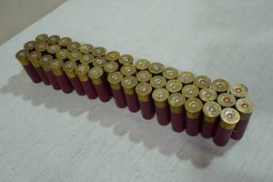 46 Loose Federal 12 Gauge MAG Steel BB Shotshells