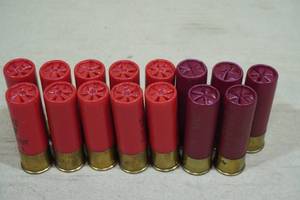 15 Loose 12 Gauge Shotshells - 2 Shot, T Shot, BBB
