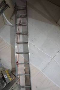 Werner ladder