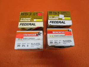 lot 31 image: 20ga Shells
