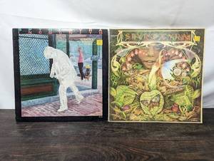 Two Spyro Gyra Records