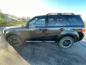 lot 17A image: 2011 Ford Escape XLT