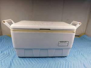 lot 100 image: Igloo cooler