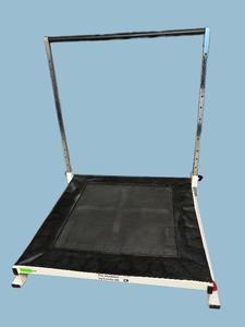 lot 37 image: MSRP $1200 Exertools PlyoBack Professional Physical Therapy Medicine Ball Reflex Rebounder - Great Condition