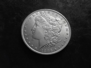 1896 Morgan Silver Dollar