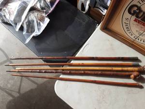 5-Walking Sticks