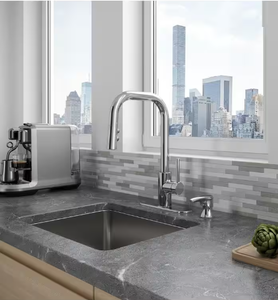 Pfister Zanna Single Handle Pull Down Sprayer Kitchen Faucet with Deckplate and Soap Dispenser in Polished Chrome