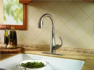 Pfister Avanti Single-Handle Pull-Down Sprayer Kitchen Faucet in Stainless Steel