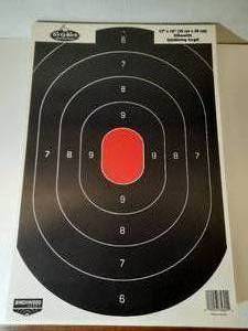 lot 784 image: Birchwood Casey Dirty Bird Silhouette Splattering Target 12 x 18.