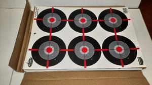 lot 934 image: 1 box of Birchwood Casey Dirty Bird Multiple Birdseyes 12 x 18 Targets