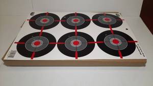lot 936 image: 1 box of Birchwood Casey Dirty Bird Multiple Birdseyes 12 x 18 Targets