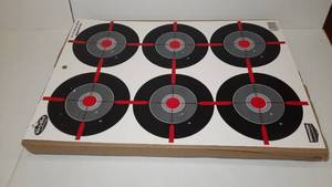 lot 938 image: 1 box of Birchwood Casey&nbspDirty Bird Multiple Birdseyes 12 x 18 Targets