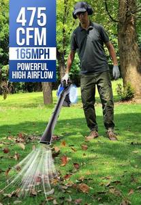 Wild Badger Power Leaf Blower