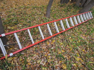 Louisville 32ft extension ladder, T...