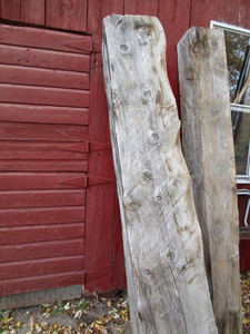 Unique 7ft log from trunk of pine, ...