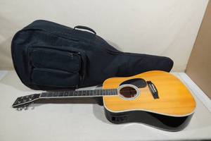 lot 2 image: Esteban Acoustic Guitar with Gig Bag