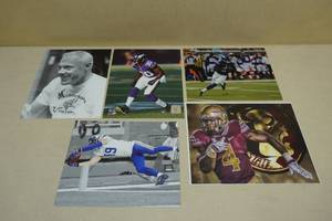 lot 133 image: 8 x 10 Vikings Pictures - Teddy, Cook, Grant, Thielen