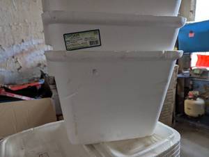 Large lot of insulated foam containers, lids not included
