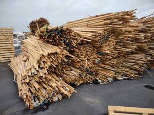 lot 232 image: Large Pile of Hardwood Drops Bundle...