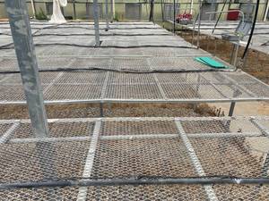 lot 1 image: Eight Tables - 2 fixed, 6 roller. Expanded metal 3 ft. high greenhouse growing tables.