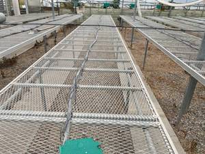 lot 5 image: Six Tables - Fixed. Expanded metal 3 ft. high greenhouse growing tables.