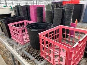 lot 52 image: Plastic Planters and Totes