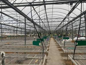 lot 11 image: Greenhouse Hoop and Gutter Building - 145 x 90 x 18