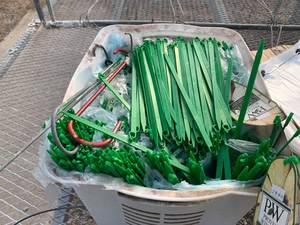 lot 107 image: Nursery Tag Holders, Planter Bags and Pouches