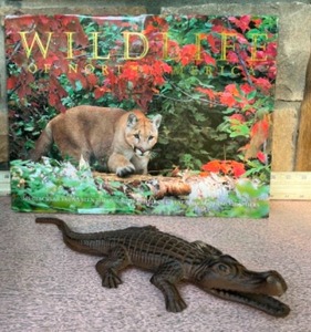 lot 56 image: Wildlife of North America Oversized Coffee Table Book Thomas Lewis1998, Cast Iron Alligator...
