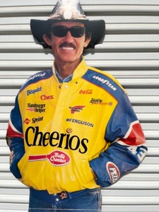 lot 13C image: RARE...Richard Petty Nascar Racing Good-Year Cheerios Advertising Life-Size Cardboard Cutout Stand-Up Store Display Easel Sign...