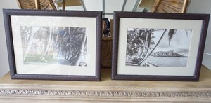 lot 12 image: Home DeCor Vintage Tropical Matted & Framed Prints