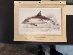 lot 175 image: Vintage Matted Foil Prints