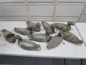 (9) Duck Decoys