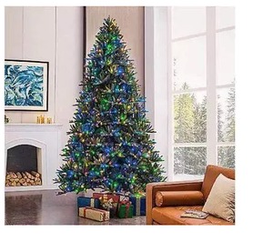lot 2 image: 9 Pre-Lit clear and Color Changing lights Bristle Fir 193968109172 NEW