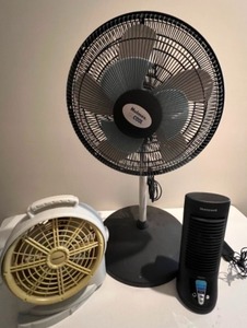 lot 217 image: Three Working FANS Large, Medium, and Small