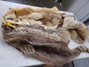 Animal Furs