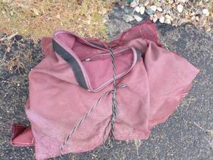 Maroon Tarp
